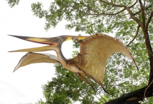 Pteranodon - Giant (JR 120010kd)