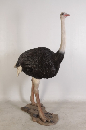 Ostrich (JR 130003)