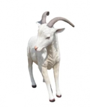 Billy Goat life-size (JR 130013C)
