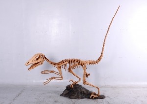 Deinonychus Skeleton (JR 140026)