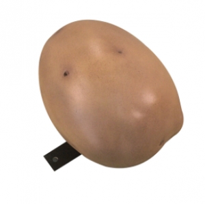 Potato (JR C-138)