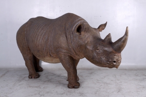 Rhino Life-size (JR 140042)