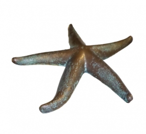Starfish 50cm - Bronze (JR 140087)