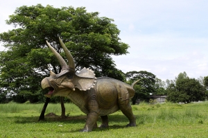 Giant Triceratops (JR 140098)