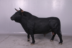 Spanish Fighting Bull (JR 150232)