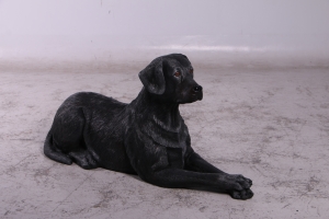 Labrador lying down in Black -JR 150251B