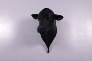 Bull Head- Angus Shoulder Mount (JR 150382)