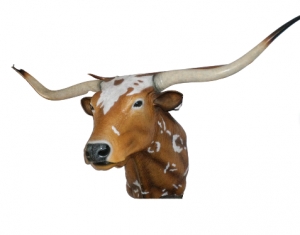 Bull Head- Texas Long Horn (JR 160122)