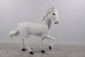 Pony- White (JR 170161)