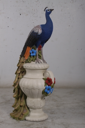 Peacock - JR 180180