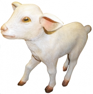 Goat - Kid Standing (JR 3368)