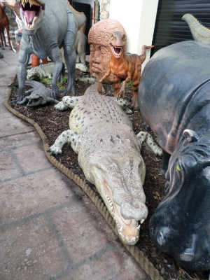 Crocodile 18ft (JR 110090)
