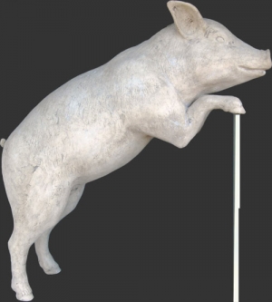 Curious Pig - Roman Stone Effect ( JR 020608rs)