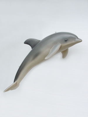 Dolphin hanging (JR 2158)