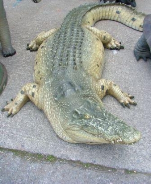 Crocodile 2.2m Adult (JR 080123)