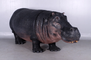 Hippopotamus (JR 140043)