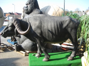 African Buffalo (JR 110117)