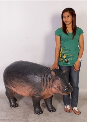 Hippo Baby (JR 110087)