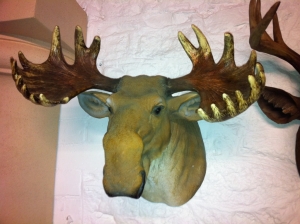 Moose Head (JR DD88130A)