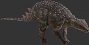 Minmi Ankylosaur (JR 100092)