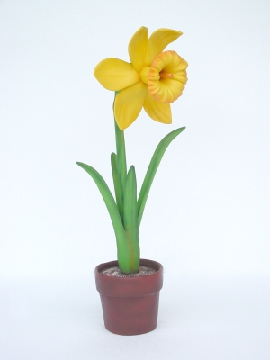 Daffodil 3ft (JR 2204)   