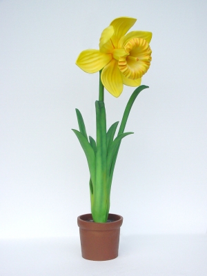 Daffodil 5ft (JR 2140)   
