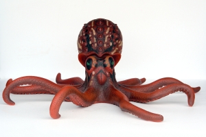 Octopus 2 meters wide (JR 2547)