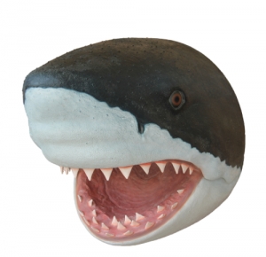 Shark Head -Great White (JR R-032)