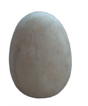 Dinosaur Egg Large (JR R-084-N)