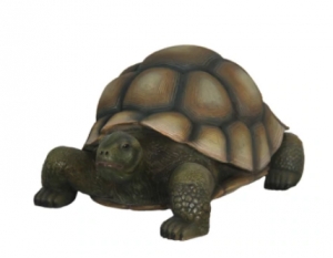 Tortoise (JR R-026)