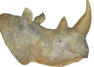 Rhino Head Large (JR 140052)	