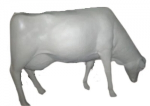 Cow - Smooth White head down without horns (JR SB007)