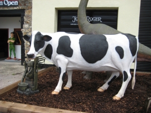 Cow Standing (JR FSC1339)