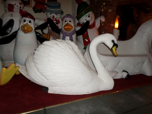 Swan (JR 150221)