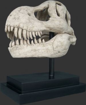 T Rex Skull on base (JR 100502RS)