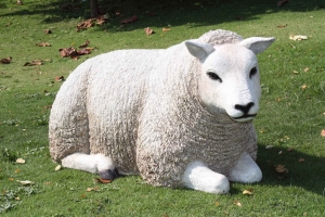 Texelaar Sheep Lying Down (JR 100023w)   