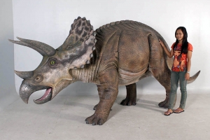 Triceratops (JR 100048)	