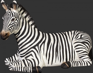 Zebra Resting (JR 120057)