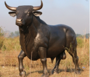 Spanish Fighting Bull (JR 150232B)