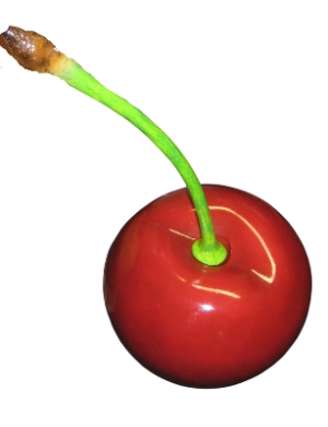 Cherry (JR 130029)