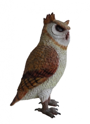 Owl (JR R-172)