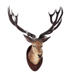 Deer Head (JR R-006)