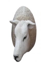 Texelaar Sheep Head (JR 0028)    - Thumbnail 01