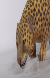 Leopard ( JR 080110L) - Thumbnail 02
