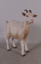 Goat - Cream (JR 100044) - Thumbnail 01