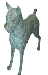 Boxer dog in bronze (JR 110120b)