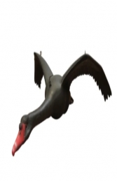 Swan - Black, Flying  (JR R-120)