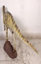 Hypsilophodont (JR 120008) - Thumbnail 02