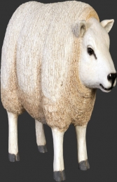 Texelaar Sheep head up - Small (JR 120021)	 - Thumbnail 01