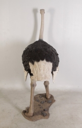 Ostrich (JR 130003) - Thumbnail 02